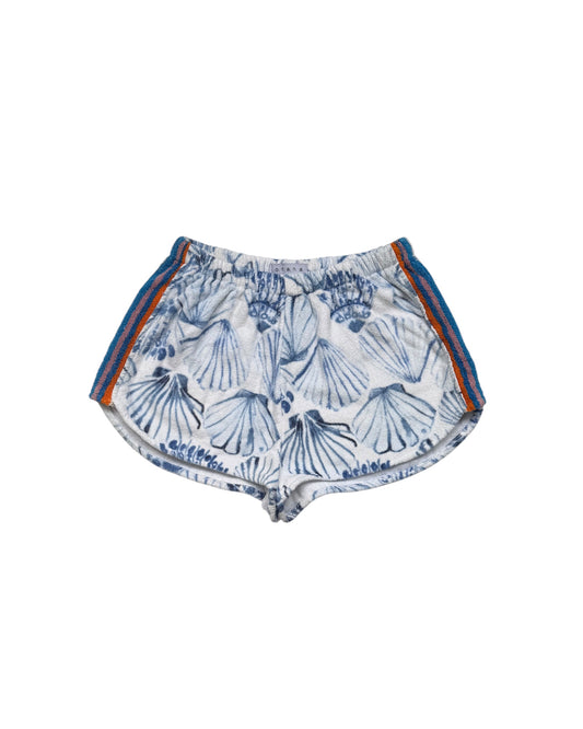Scallop shell scoops